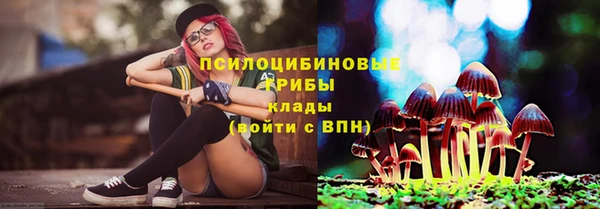 синтетический гашиш Киреевск