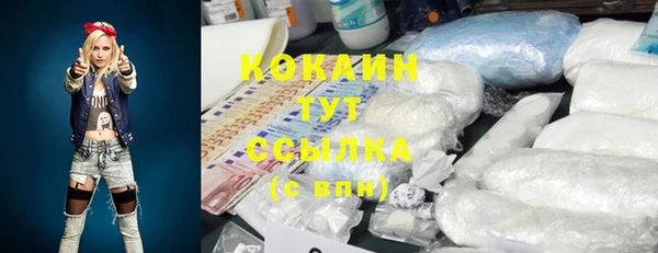 амф Кодинск