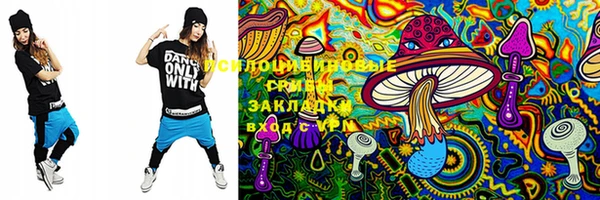 синтетический гашиш Киреевск